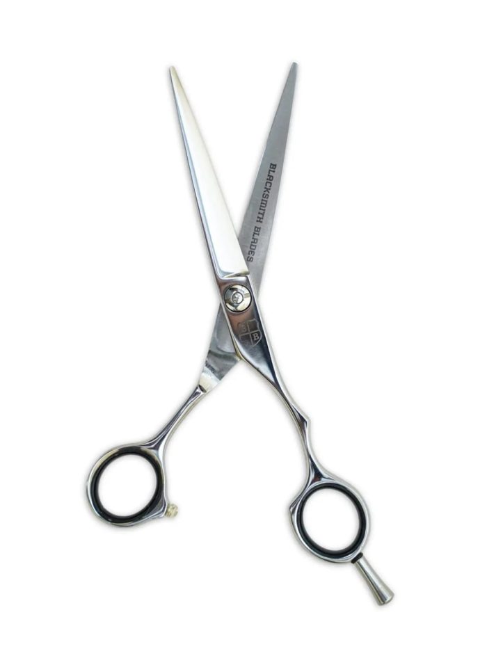 VG10 Master Series polished cutting scissors for professional hairdressers and stylists